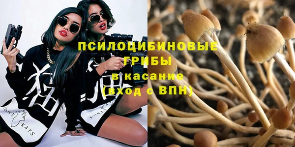 спиды Зеленодольск