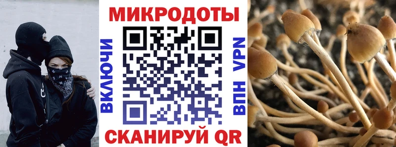 mega как войти Кохма Галлюциногенные грибы Magic Shrooms